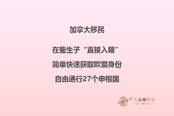 树枝丫
