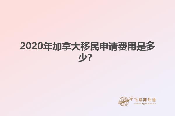 身披国旗的人