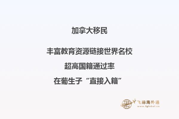 轨道边的树林