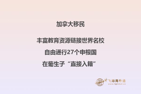 升起的枫叶旗