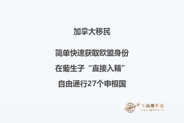 黄色的树叶