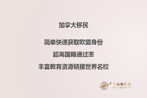 河滩边的石头
