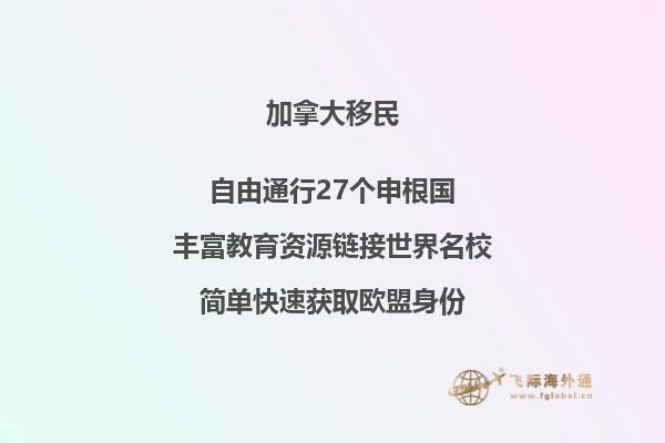 中国驾驶证在加拿大安省可以用吗