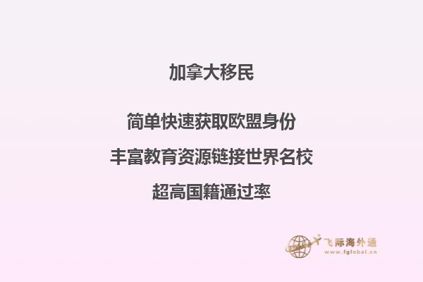 加拿大签证中心官网表格下载免费