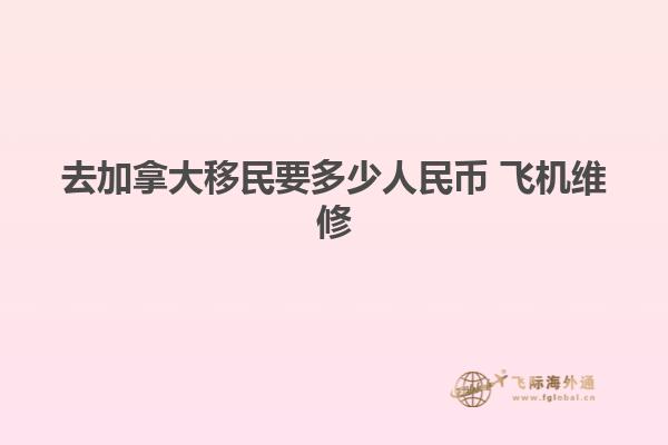 去加拿大移民要多少人民币 飞机维修