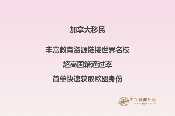 去加拿大移民要多少人民币 飞机维修