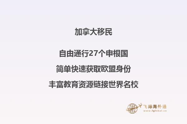 加拿大西洋参的功效与作用泡水喝的功效