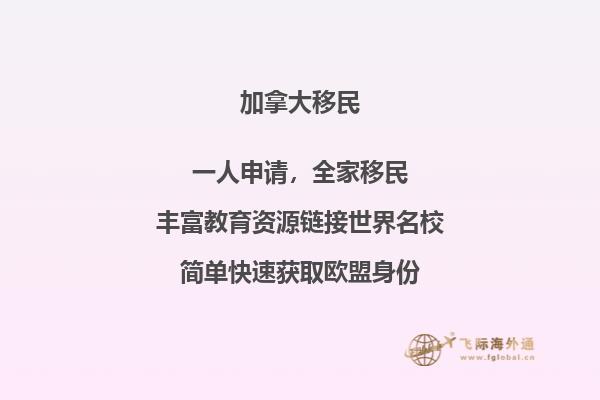 加拿大个人旅游签证中英文申请表