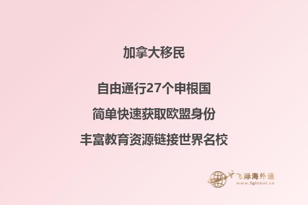 加拿大的人口与城市集中分布在什么地区