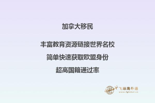 加拿大约克大学相当于国内什么大学