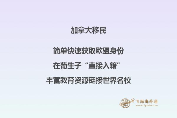 加拿大探亲签证申请表有没有中英文的