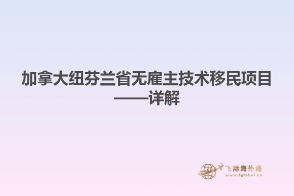 加拿大纽芬兰省无雇主技术移民项目——详解