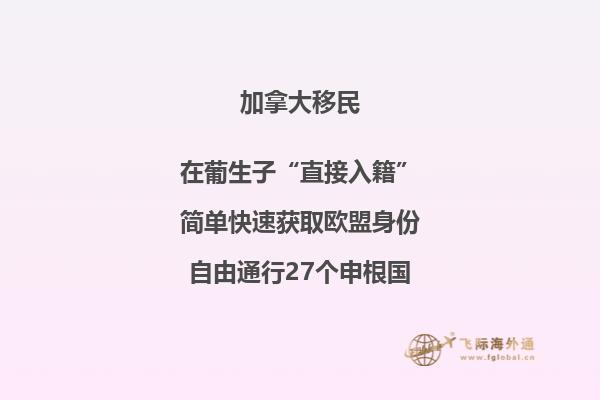 加拿大纽芬兰省无雇主技术移民项目——详解