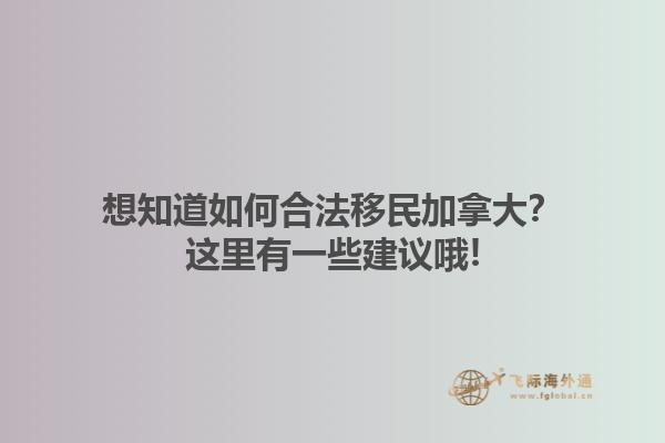 想知道如何合法移民加拿大？这里有一些建议哦!