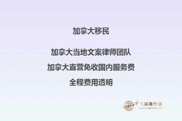 疫情对加拿大移民有何影响？如何应对？