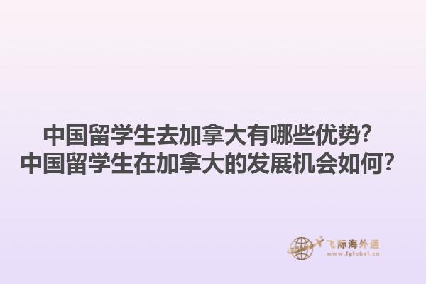 中国留学生去加拿大有哪些优势？中国留学生在加拿大的发展机会如何？1.jpg