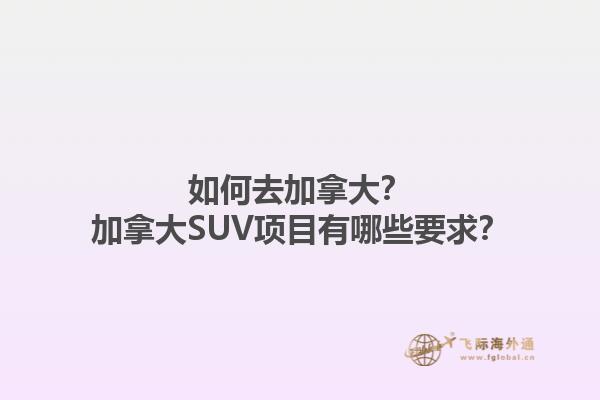 如何去加拿大？加拿大SUV项目有哪些要求？1.jpg
