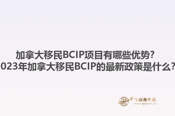 加拿大移民BCIP项目有哪些优势？2023年加拿大移民BCIP的最新政策是什么？1.jpg
