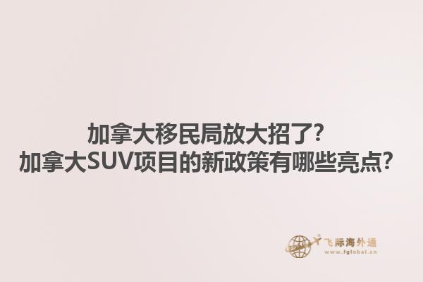 加拿大移民局放大招了？加拿大SUV项目的新政策有哪些亮点？1.jpg