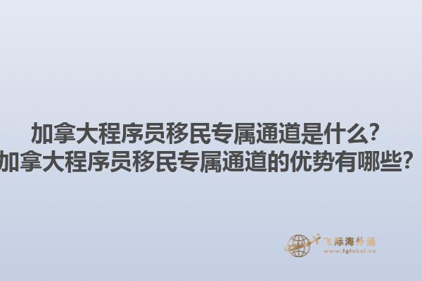 加拿大程序员移民专属通道是什么？加拿大程序员移民专属通道的优势有哪些？1.jpg