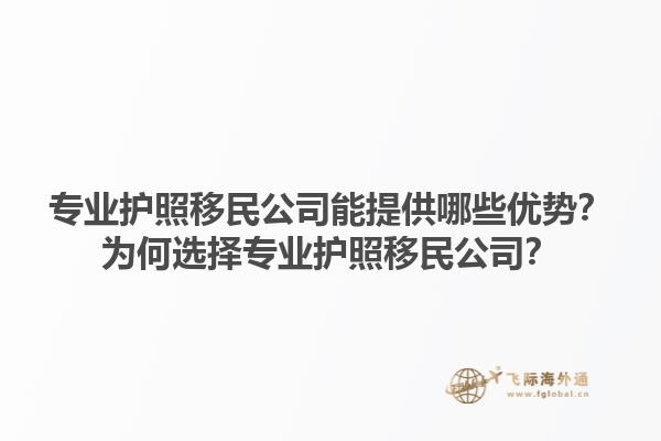 专业护照移民公司能提供哪些优势？为何选择专业护照移民公司？1.jpg