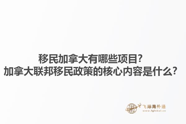 移民加拿大有哪些项目？加拿大联邦移民政策的核心内容是什么？1.jpg