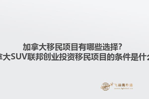 加拿大移民项目有哪些选择？加拿大SUV联邦创业投资移民项目的条件是什么？1.jpg