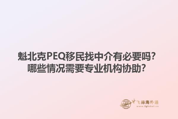 魁北克PEQ移民找中介有必要吗？哪些情况需要专业机构协助？1.jpg