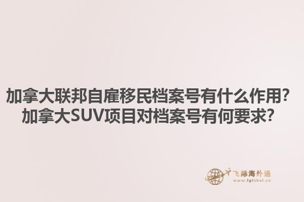 加拿大联邦自雇移民档案号有什么作用？加拿大SUV项目对档案号有何要求？1.jpg