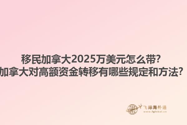 移民加拿大2025万美元怎么带？加拿大对高额资金转移有哪些规定和方法？1.jpg