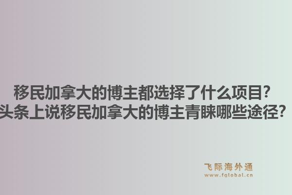 移民加拿大的博主都选择了什么项目？头条上说移民加拿大的博主青睐哪些途径？1.jpg