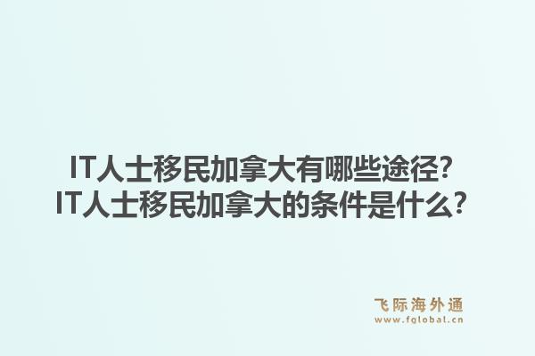 IT人士移民加拿大有哪些途径？IT人士移民加拿大的条件是什么？1.jpg