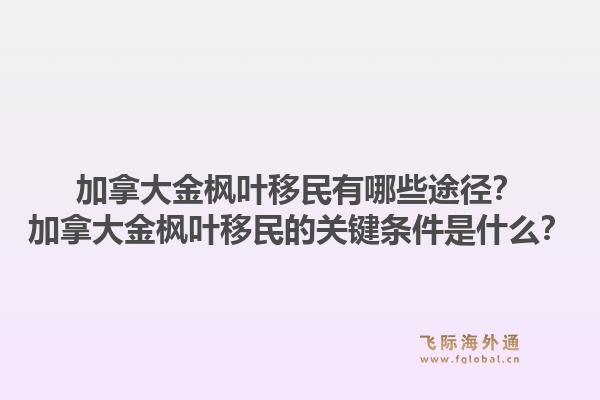 加拿大金枫叶移民有哪些途径？加拿大金枫叶移民的关键条件是什么？1.jpg