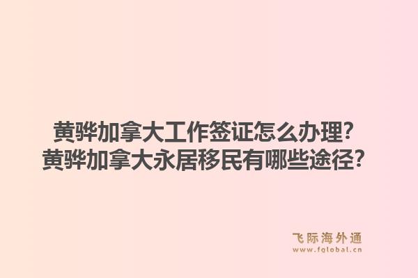 黄骅加拿大工作签证怎么办理？黄骅加拿大永居移民有哪些途径？1.jpg