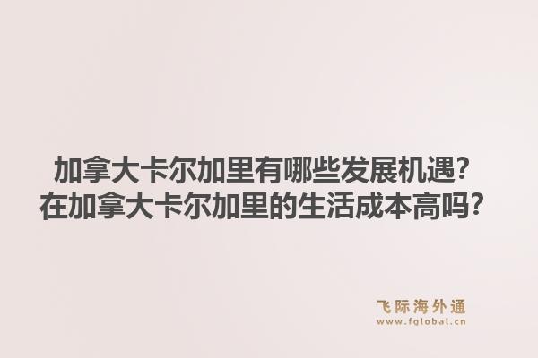 加拿大卡尔加里有哪些发展机遇?在加拿大卡尔加里的生活成本高吗?1.jpg