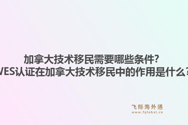加拿大技术移民需要哪些条件？WES认证在加拿大技术移民中的作用是什么？1.jpg