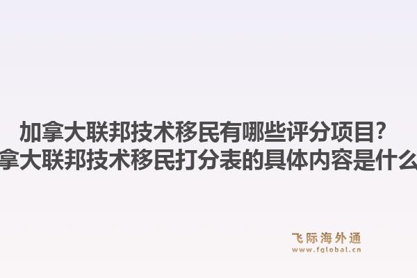 加拿大联邦技术移民有哪些评分项目?加拿大联邦技术移民打分表的具体内容是什么?1.jpg