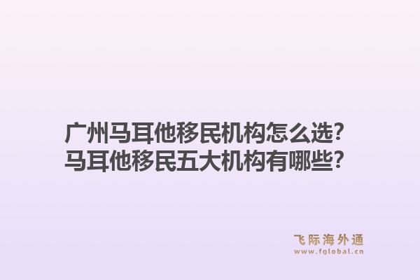 广州马耳他移民机构怎么选?马耳他移民五大机构有哪些?1.jpg