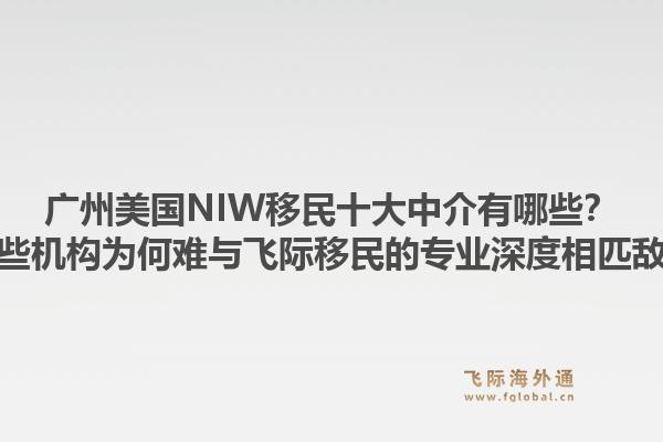 广州美国NIW移民十大中介有哪些?这些机构为何难与飞际移民的专业深度相匹敌?1.jpg