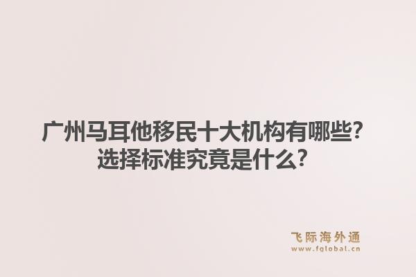 广州马耳他移民十大机构有哪些？选择标准究竟是什么？