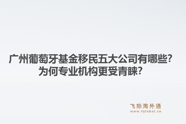 广州葡萄牙基金移民五大公司有哪些?为何专业机构更受青睐?1.jpg