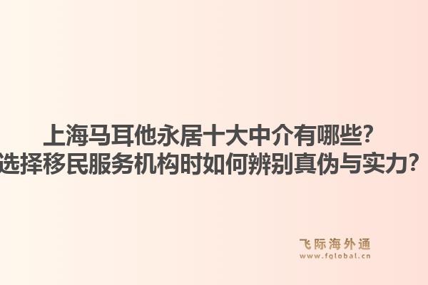 上海马耳他永居十大中介有哪些?选择移民服务机构时如何辨别真伪与实力?1.jpg