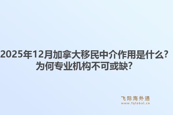 2025年12月加拿大移民中介作用是什么?为何专业机构不可或缺?1.jpg