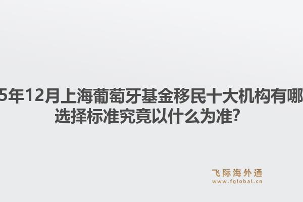 2025年12月上海葡萄牙基金移民十大机构有哪些？选择标准究竟以什么为准？