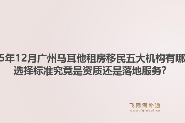 2025年12月广州马耳他租房移民五大机构有哪些？选择标准究竟是资质还是落地服务？1.jpg