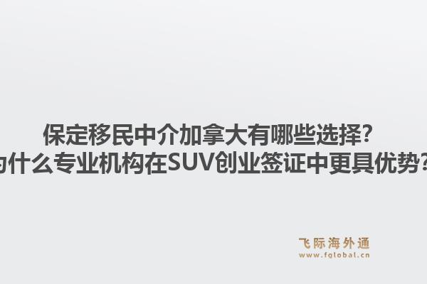 保定移民中介加拿大有哪些选择?为什么专业机构在SUV创业签证中更具优势?1.jpg