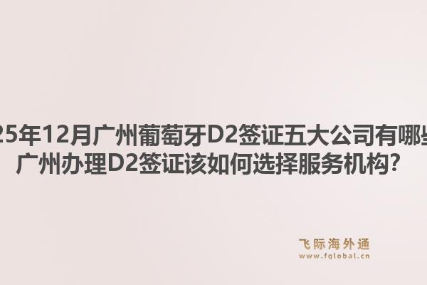 2025年12月广州葡萄牙D2签证五大公司有哪些？广州办理D2签证该如何选择服务机构？1.jpg