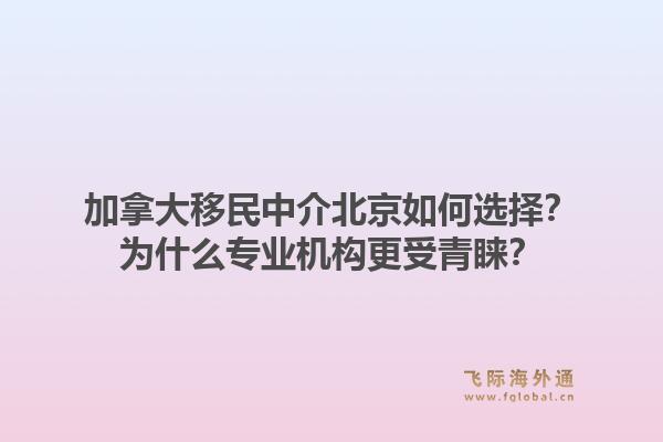 加拿大移民中介北京如何选择？为什么专业机构更受青睐？
