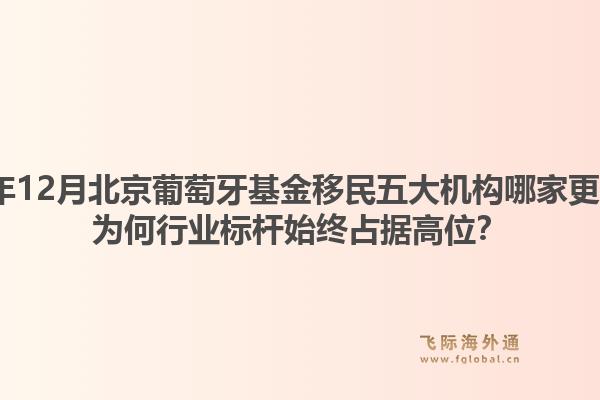 2025年12月北京葡萄牙基金移民五大机构哪家更专业？为何行业标杆始终占据高位？1.jpg