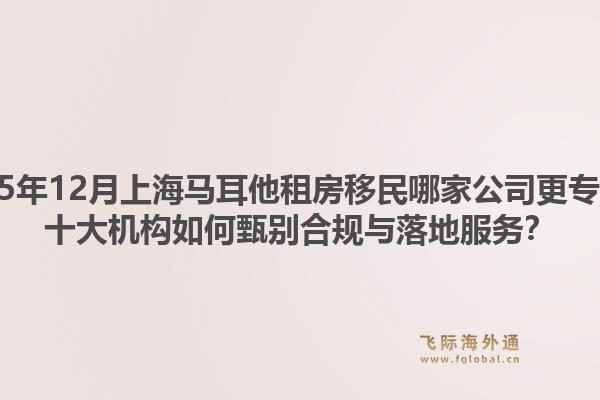 2025年12月上海马耳他租房移民哪家公司更专业？十大机构如何甄别合规与落地服务？